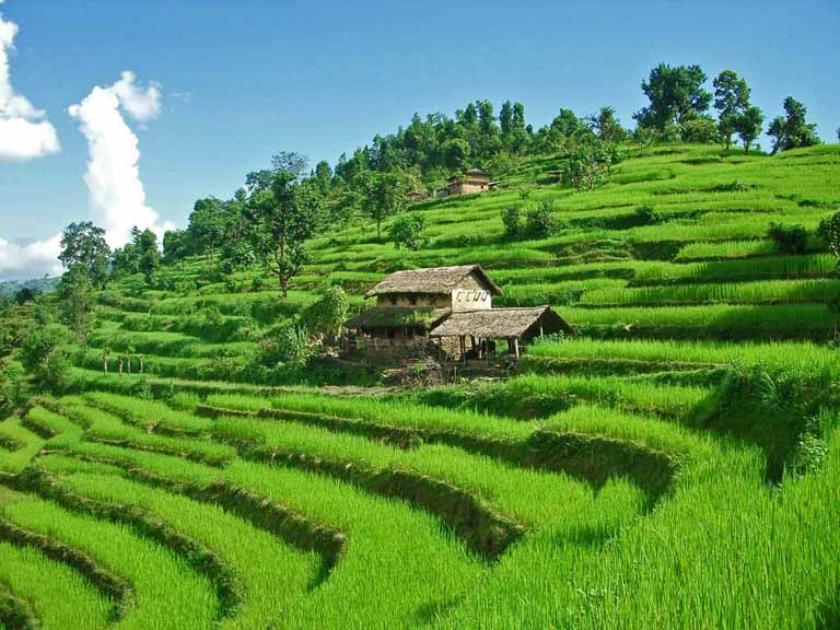 Agri - Tourism in Remote areas of Nepal